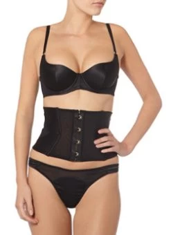 L’Agent Taillevormer Penelope